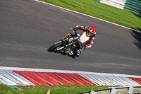 cadwell-no-limits-trackday;cadwell-park;cadwell-park-photographs;cadwell-trackday-photographs;enduro-digital-images;event-digital-images;eventdigitalimages;no-limits-trackdays;peter-wileman-photography;racing-digital-images;trackday-digital-images;trackday-photos